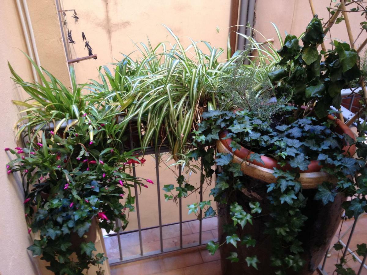 Oasis In The Heart Of Florence Exterior photo